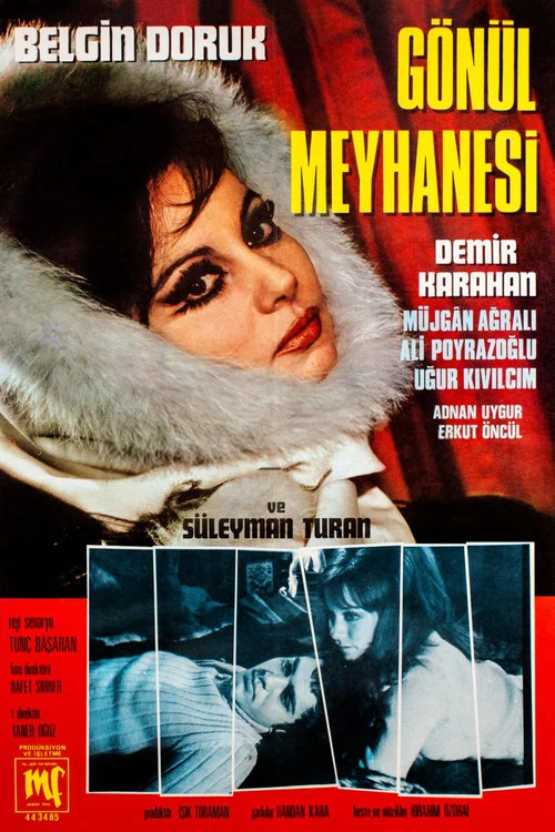 G&ouml;n&uuml;l Meyhanesi