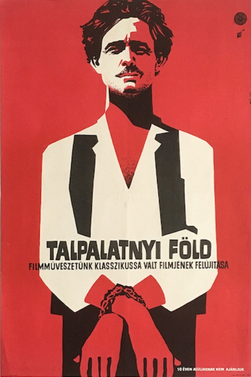 Talpalatnyi f&ouml;ld