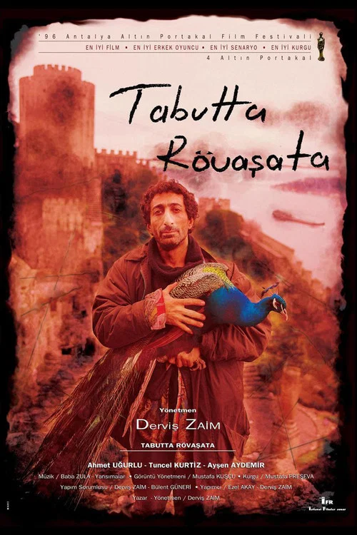 Tabutta R&ouml;vaşata