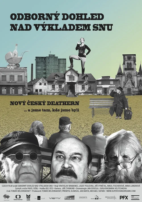 Odborn&yacute; dohled nad v&yacute;kladem snu
