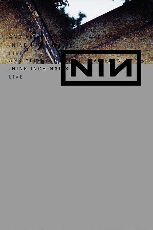 Nine Inch Nails Live: And All That Could Have Been  nails