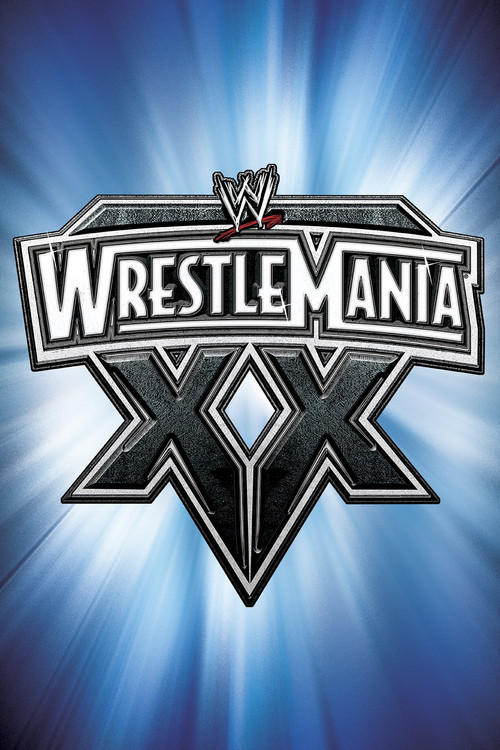 WWE 摔角狂热 20