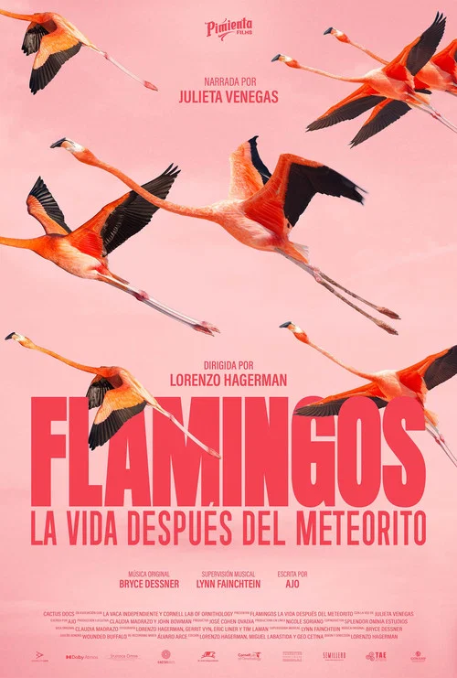 Flamingos: La vida despu&eacute;s del meteorito