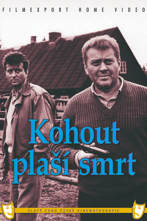Kohout pla&scaron;&iacute; smrt