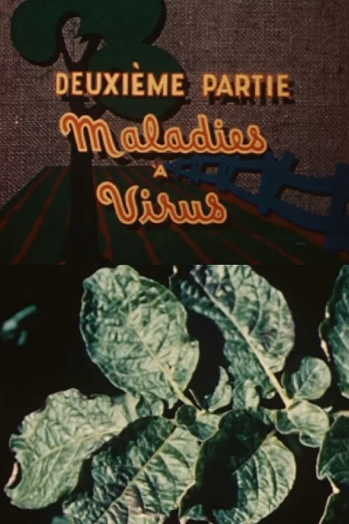 Les ennemis de la pomme de terre: Maladies &agrave; virus
