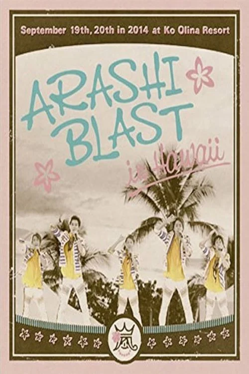 岚2014夏威夷演唱会
