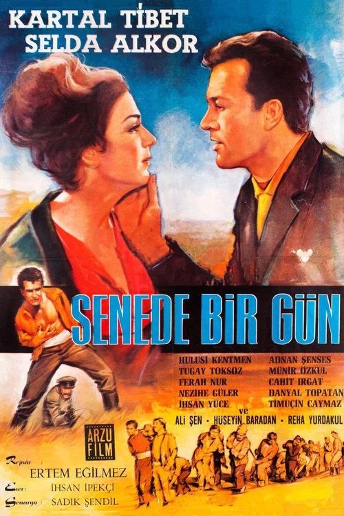 Senede Bir G&uuml;n