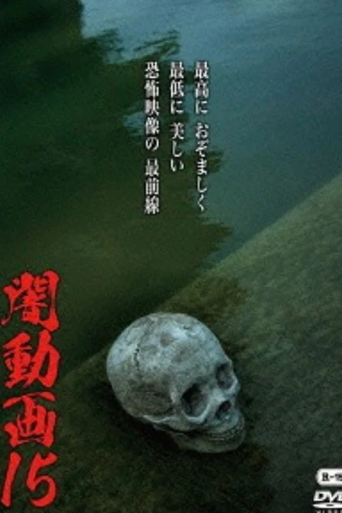 暗动画15