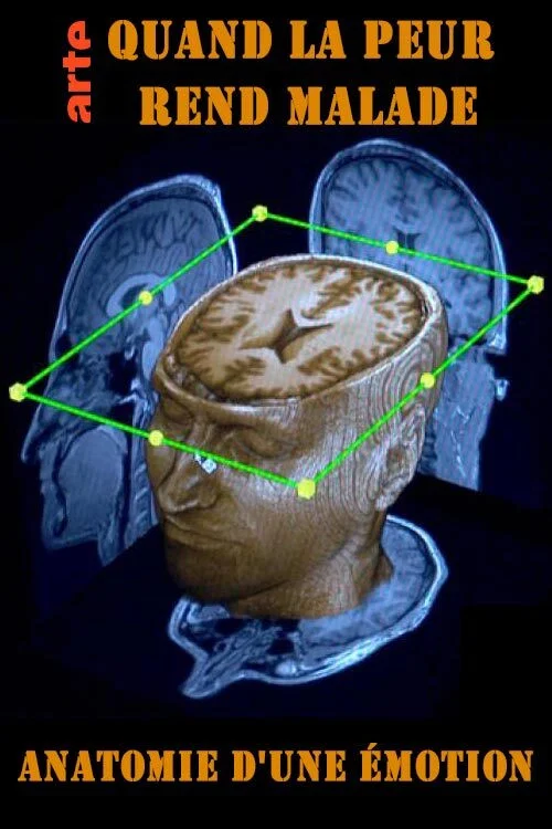 Quand la peur rend malade - Anatomie d'une &eacute;motion