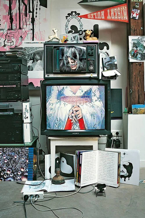 Inside Bj&ouml;rk