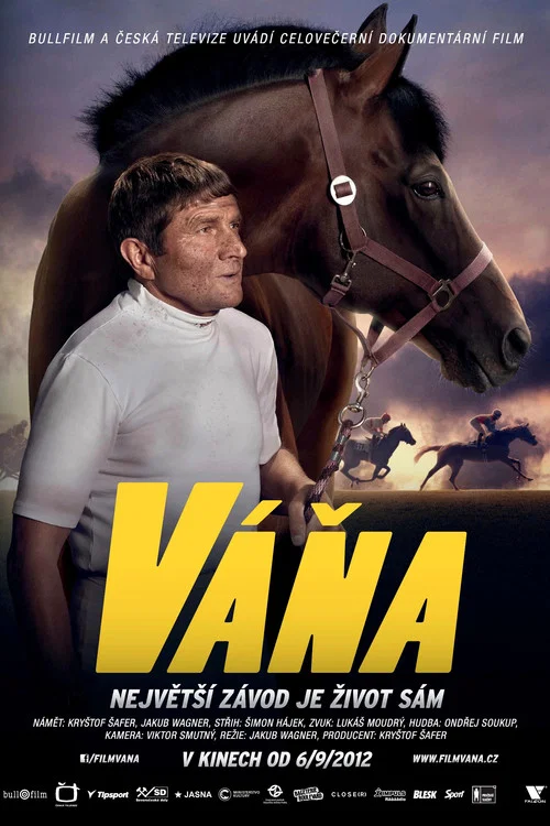 V&aacute;ňa