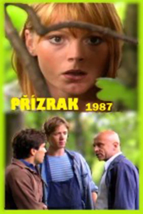 Př&iacute;zrak