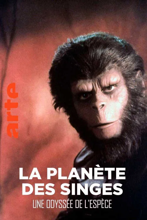 &laquo; La Plan&egrave;te des singes &raquo; : une odyss&eacute;e de l'esp&egrave;ce