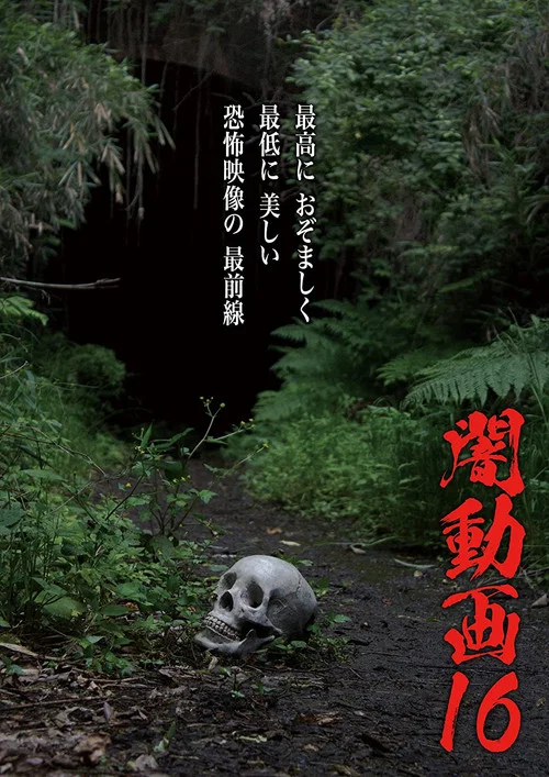 暗动画16