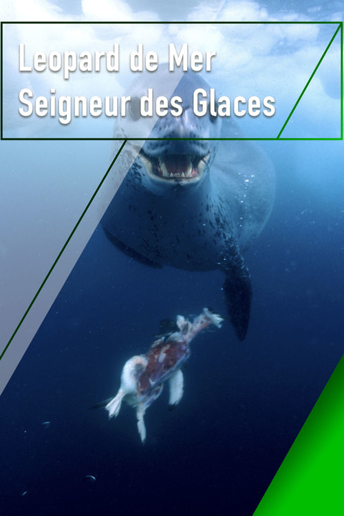 Le l&eacute;opard de mer, seigneur des glaces