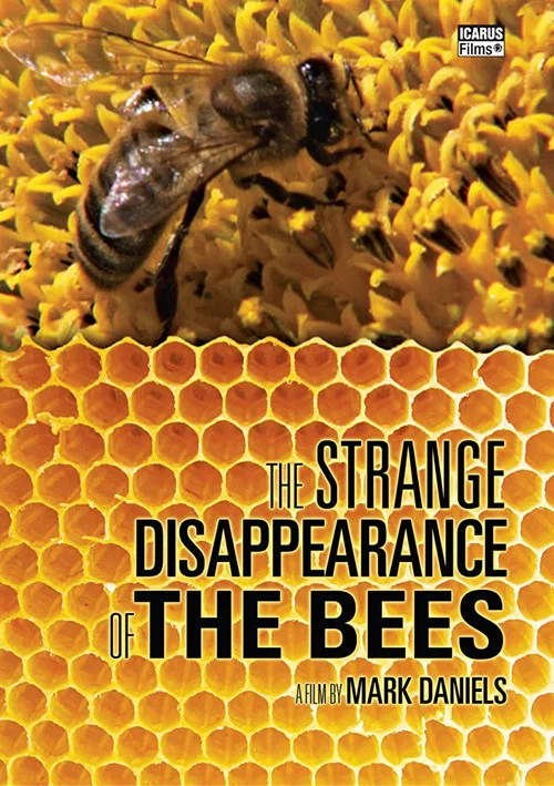 Le Myst&egrave;re de la disparition des abeilles