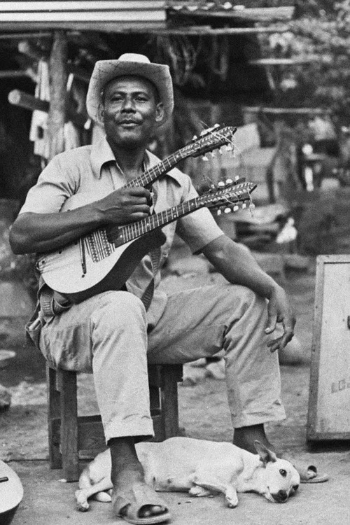 El rey del bandol&iacute;n