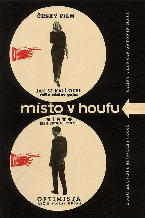 M&iacute;sto v houfu