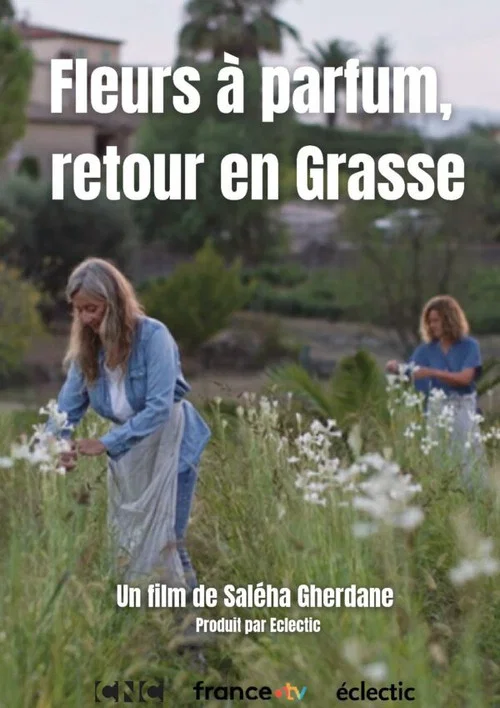 Fleurs &agrave; parfum, retour en Grasse