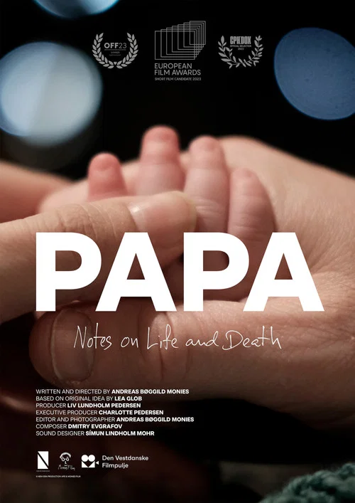 Papa &ndash; Notes on Life and Death