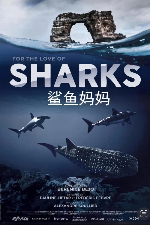 鲨鱼妈妈