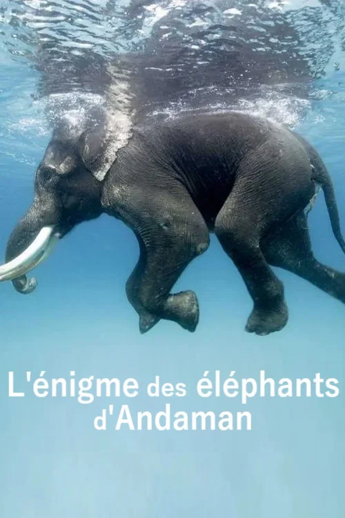 L'&eacute;nigme des &eacute;l&eacute;phants d'Andaman