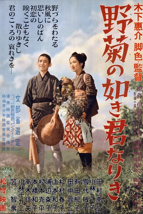 野菊之墓